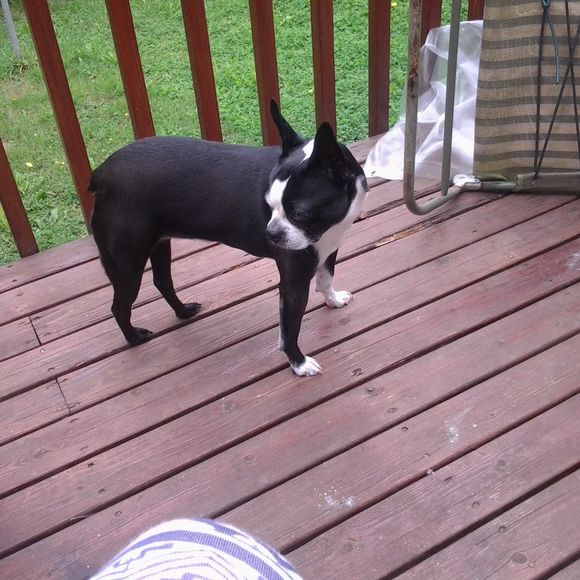 Meet your Posher, Season - Picture 1 of 1